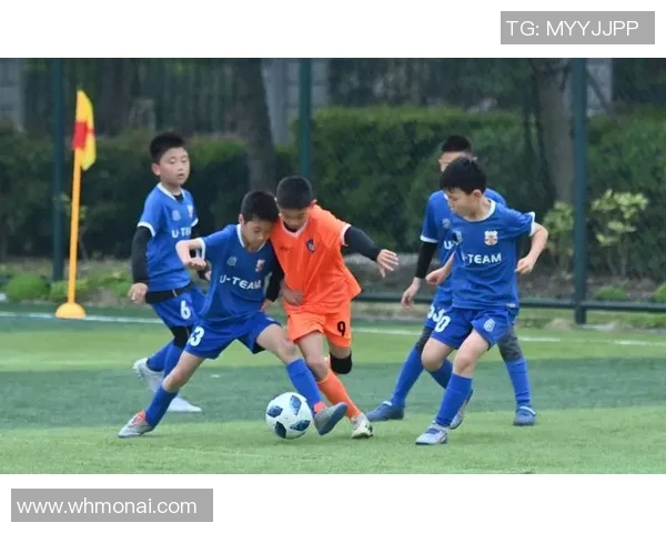 绿茵场上的梦想与荣耀足球明星的成长之路与人生抉择