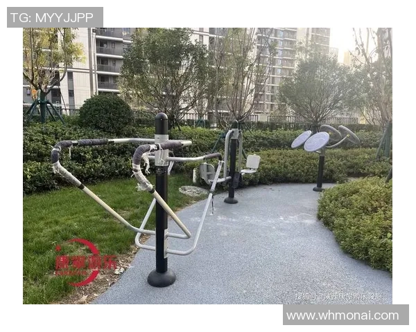 户外健身器材生产厂家助力全民健身运动提升健康生活品质